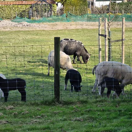 Hemmer Hoeve Exterior photo