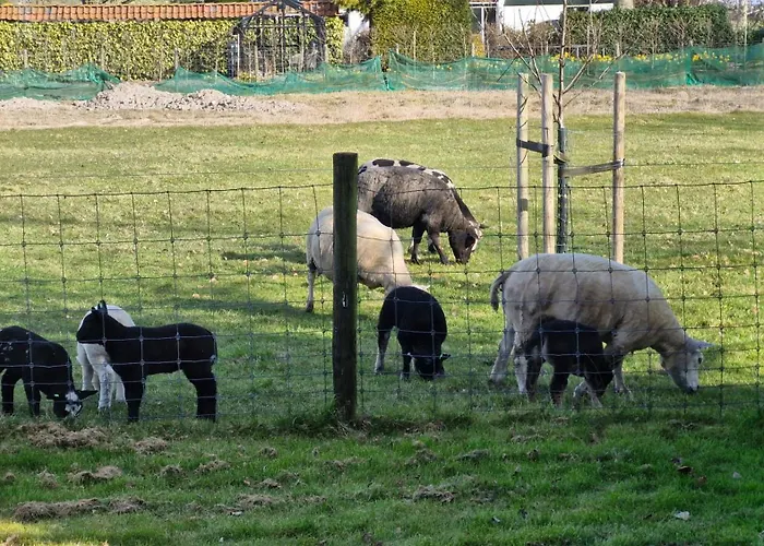 Hemmer Hoeve