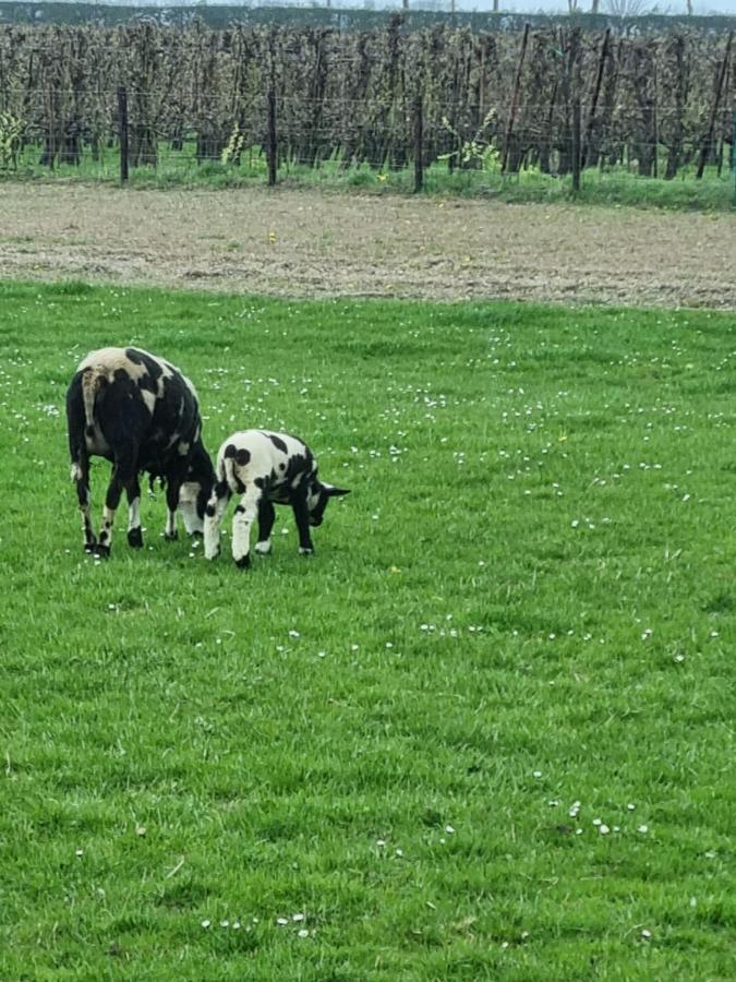 Hemmer Hoeve * Hem