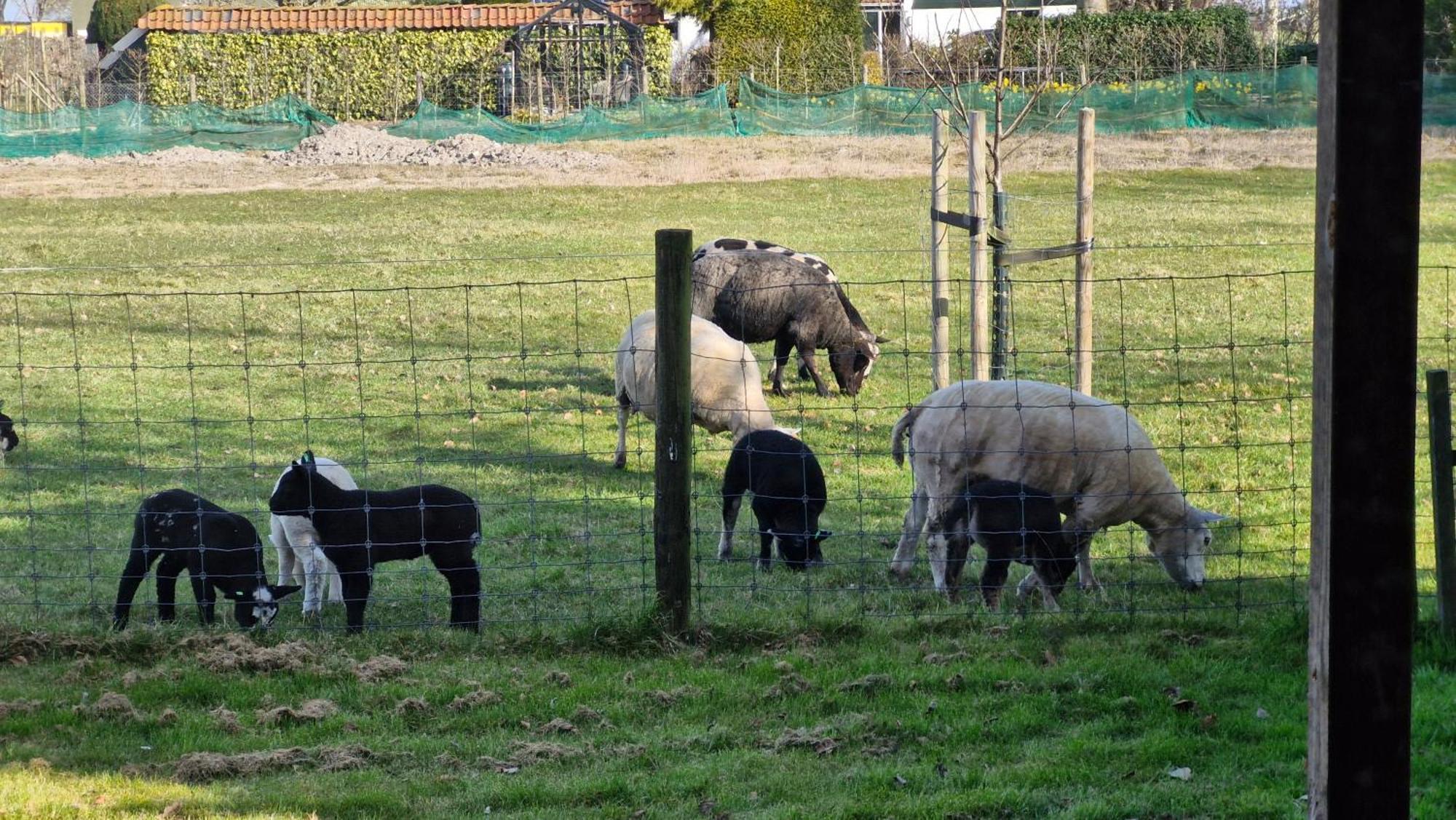 Hemmer Hoeve Holiday home *
